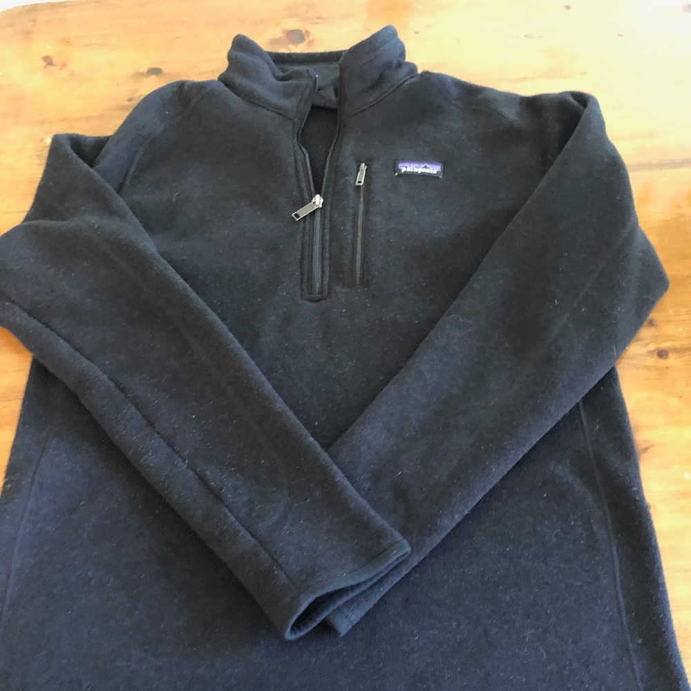Patagonia mens pullover